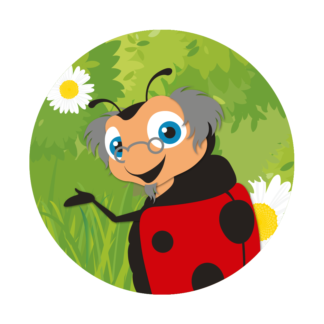 Lenny the Ladybug